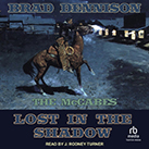 Lost in the Shadow