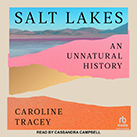 Salt Lakes